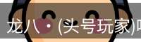龙八头号玩家官网